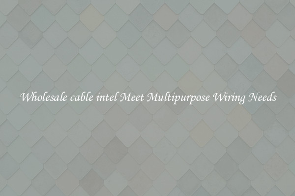 Wholesale cable intel Meet Multipurpose Wiring Needs