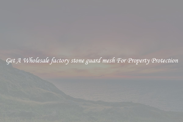Get A Wholesale factory stone guard mesh For Property Protection