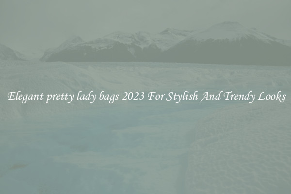 Elegant pretty lady bags 2023 For Stylish And Trendy Looks