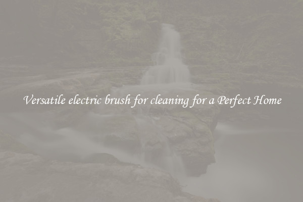 Versatile electric brush for cleaning for a Perfect Home