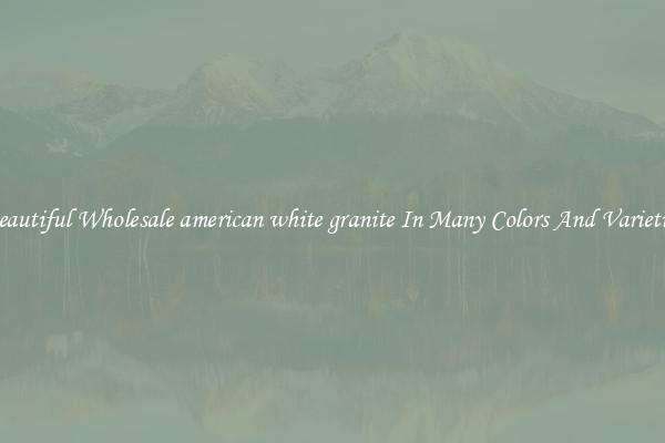 Beautiful Wholesale american white granite In Many Colors And Varieties