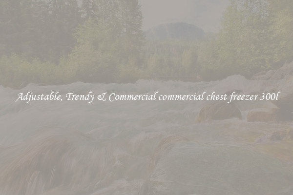 Adjustable, Trendy & Commercial commercial chest freezer 300l