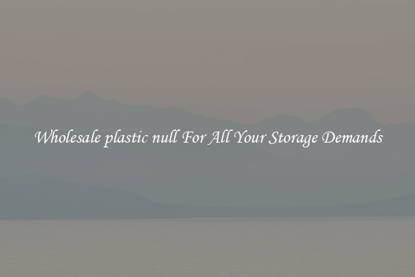 Wholesale plastic null For All Your Storage Demands