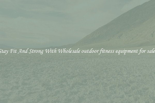 Stay Fit And Strong With Wholesale outdoor fitness equipment for sales