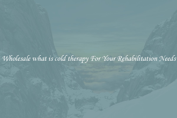 Wholesale what is cold therapy For Your Rehabilitation Needs