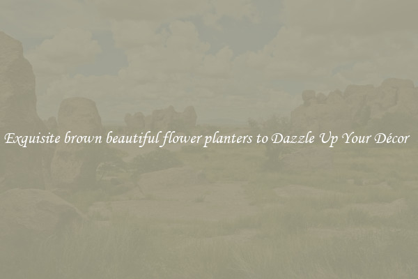 Exquisite brown beautiful flower planters to Dazzle Up Your Décor  