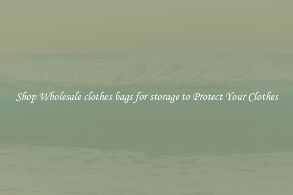 Shop Wholesale clothes bags for storage to Protect Your Clothes