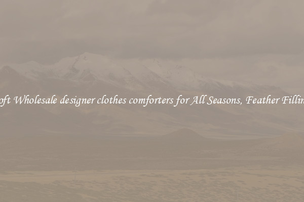 Soft Wholesale designer clothes comforters for All Seasons, Feather Filling 