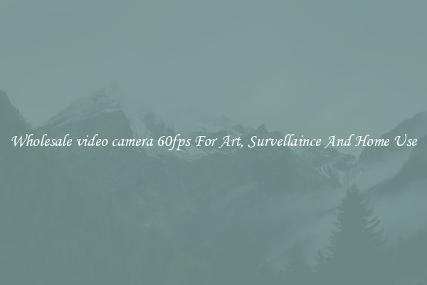 Wholesale video camera 60fps For Art, Survellaince And Home Use