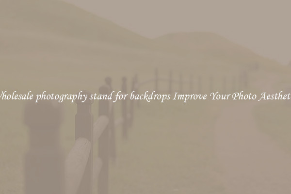 Wholesale photography stand for backdrops Improve Your Photo Aesthetics