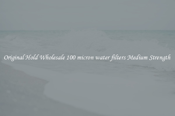 Original Hold Wholesale 100 micron water filters Medium Strength 