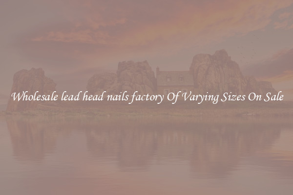 Wholesale lead head nails factory Of Varying Sizes On Sale