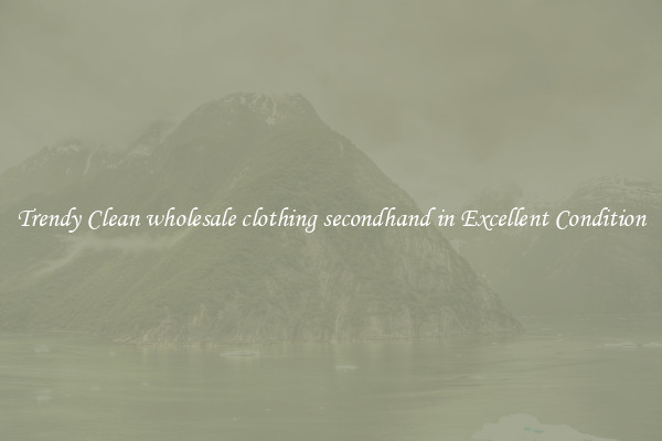 Trendy Clean wholesale clothing secondhand in Excellent Condition