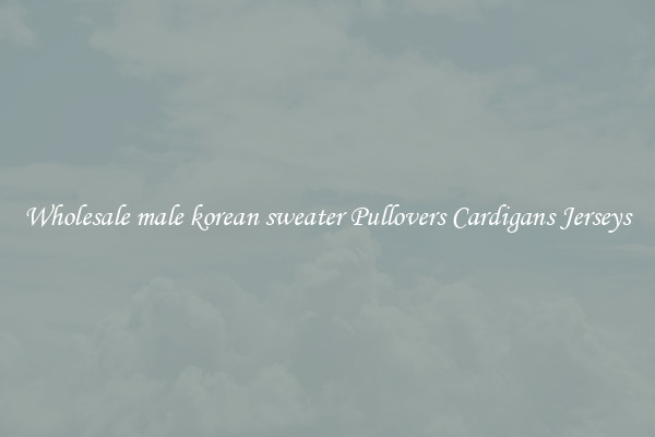 Wholesale male korean sweater Pullovers Cardigans Jerseys