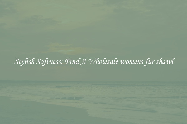 Stylish Softness: Find A Wholesale womens fur shawl