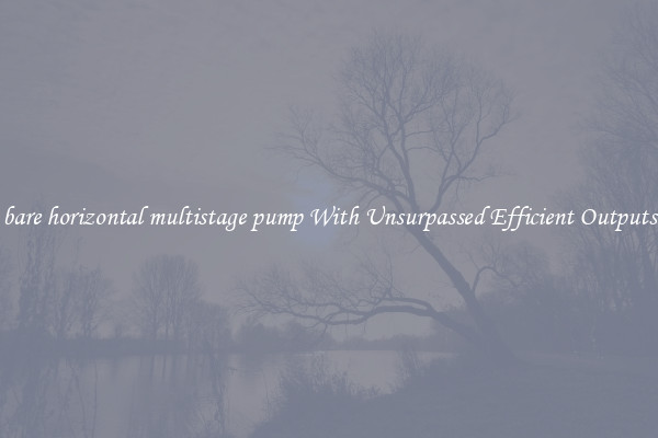 bare horizontal multistage pump With Unsurpassed Efficient Outputs