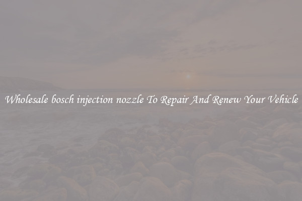 Wholesale bosch injection nozzle To Repair And Renew Your Vehicle