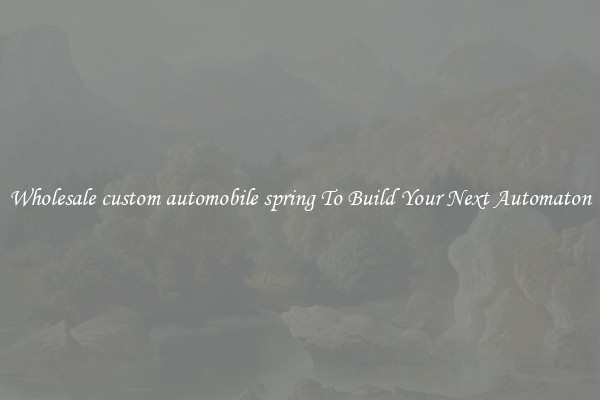 Wholesale custom automobile spring To Build Your Next Automaton