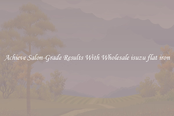 Achieve Salon-Grade Results With Wholesale isuzu flat iron