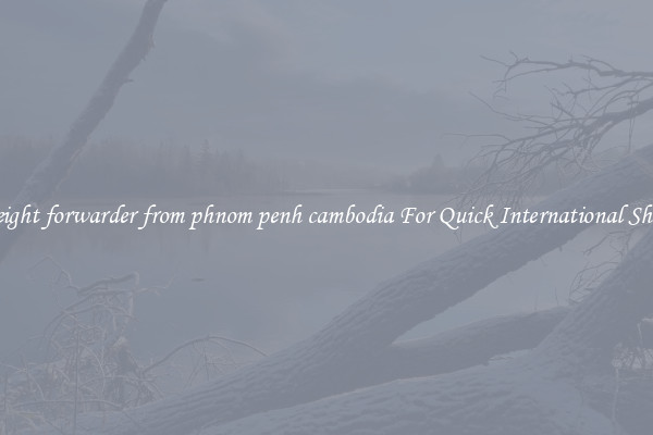 sea freight forwarder from phnom penh cambodia For Quick International Shipping