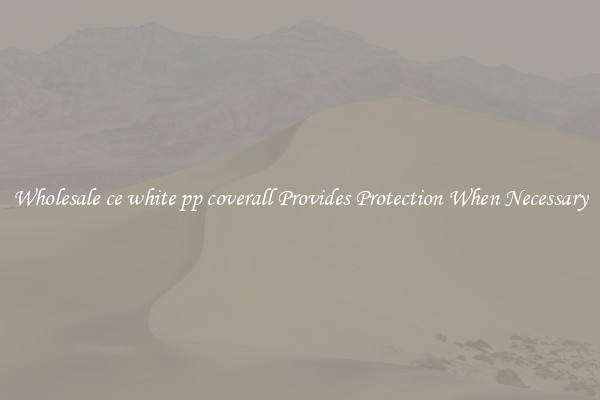 Wholesale ce white pp coverall Provides Protection When Necessary